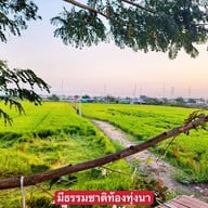 วังเงินติ่มซำ สาขาแรก