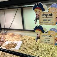 ถิงถิง บิงซูน้ำขิง หาดใหญ่