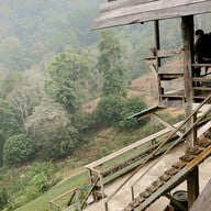 ไร่ชาลุงเดช