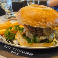 Greyhound Café Groove@CentralWorld