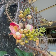 วัดเลขธรรมกิตติ์