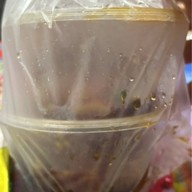 Salmon all days จรัญสนิทวงศ์89 บางอ้อ