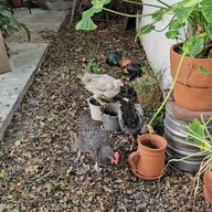 Et1.5 ลาดพร้าว