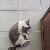 วัดฉลอง (วัดไชยธาราราม)