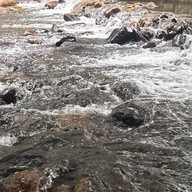 ครัวป่ามะขาม