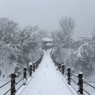 shirakawa-go