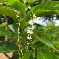 Why Worry Homestay & Cafe