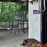 บ้านน้ำดัง (Coffee Tea Cake) - เจดีย์หัก