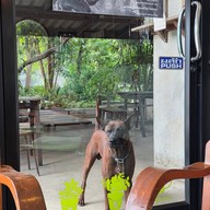 บ้านน้ำดัง (Coffee Tea Cake) - เจดีย์หัก