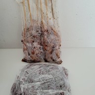 เมนูของร้าน หมูปิ้งลุงแต