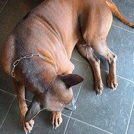 บ้านน้ำดัง (Coffee Tea Cake) - เจดีย์หัก