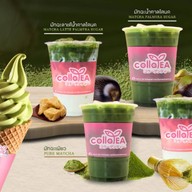 Colla tea แพร่