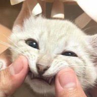 หิว (Hungry) 🍴