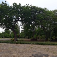 บรรยากาศ เขตห้ามล่าสัตว์ป่าชะอำ