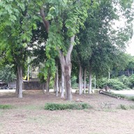 บรรยากาศ เขตห้ามล่าสัตว์ป่าชะอำ