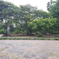 บรรยากาศ เขตห้ามล่าสัตว์ป่าชะอำ