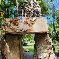 วัดสะเดา