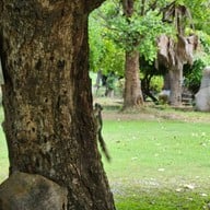 วัดสะเดา