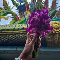 วัดมณีวงศ์