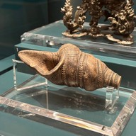 บรรยากาศ พิพิธภัณฑ์สถานแห่งชาติ พระนคร