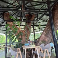 ร้านชมป่าคาเฟ่ (Chompha Cafe')