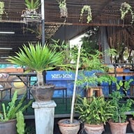 บรรยากาศ ร้านเก๋ติ่มซำ หัวหิน