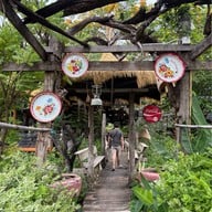 กุหลาบดอกใหม่ บายนิวไก่ย่างบัวตอง