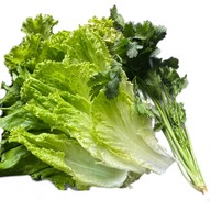 เมี่ยงแซ่บ(คลอง4) สาขา1