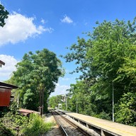 ข้าวเหนียวมะม่วงป้าณี (วัดราชโอรส) วัดราชโอรส