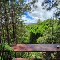 cedar ป่าสน cafe' @ เขาค้อ เขาค้อ