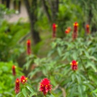 Imperial Phu Kaeo Hill Resort
