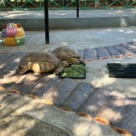 Safari Park สวนสัตว์เปิดซาฟารีปาร์ค กาญจนบุรี