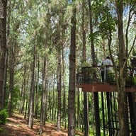 cedar ป่าสน cafe' @ เขาค้อ เขาค้อ