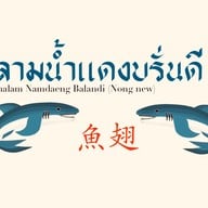 หูฉลามน้ำแดงบรั่นดี น้องนิว เยาวราช