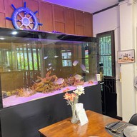 Dailyfish