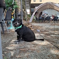 บรรยากาศ Dj Cafe & Garage