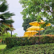 เดอะ เชลซี กระบี่