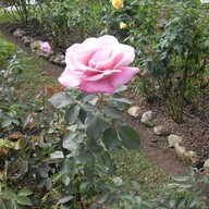 บรรยากาศ บ้านม้งดอยปุย