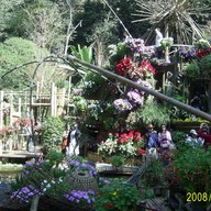 บรรยากาศ บ้านม้งดอยปุย