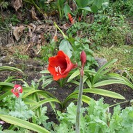 บรรยากาศ บ้านม้งดอยปุย