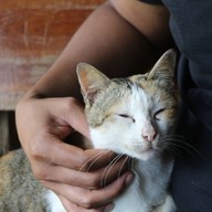 บรรยากาศ น้ำตกจ๊อกกระดิ่น