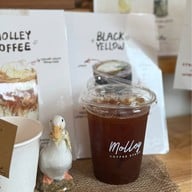 Molley Coffee Stand -