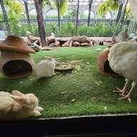 The Gardens of Dinsor Palace