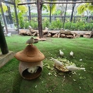 The Gardens of Dinsor Palace