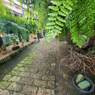 โอยั๊วะ homemade breakfast,brunch & desserts