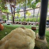 The Gardens of Dinsor Palace