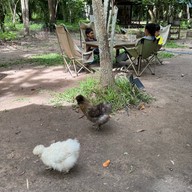 ปามานะ Pa Ma Na