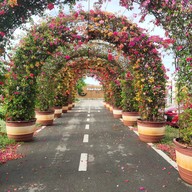 Blue Blue Beach Blue Blue Beach Club