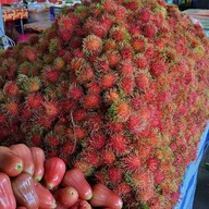 เมนูของร้าน น้องข้าวหอม ผลไม้ตามฤดูกาล