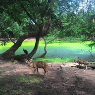 บรรยากาศ สวนนกชัยนาท